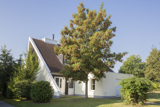 Gegarandeerde huuropbrengst